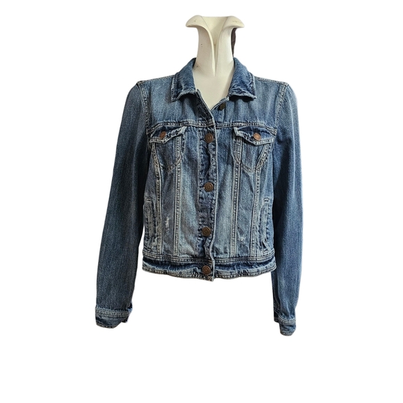 Handpainted Steampunk Dog On A Denim Jean Jacket - Picture 3 of 5